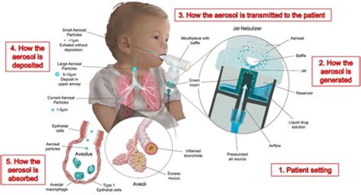 What is the aerosol therapy?