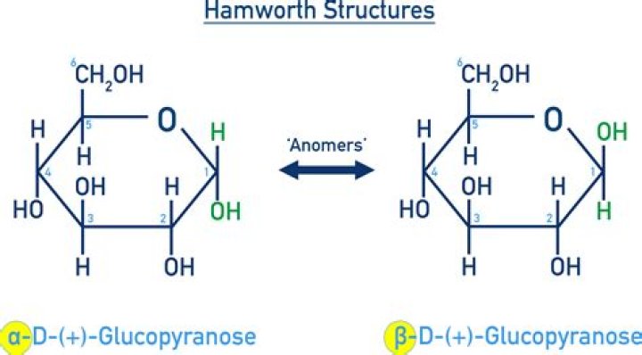 What is the anomeric form of glucose?