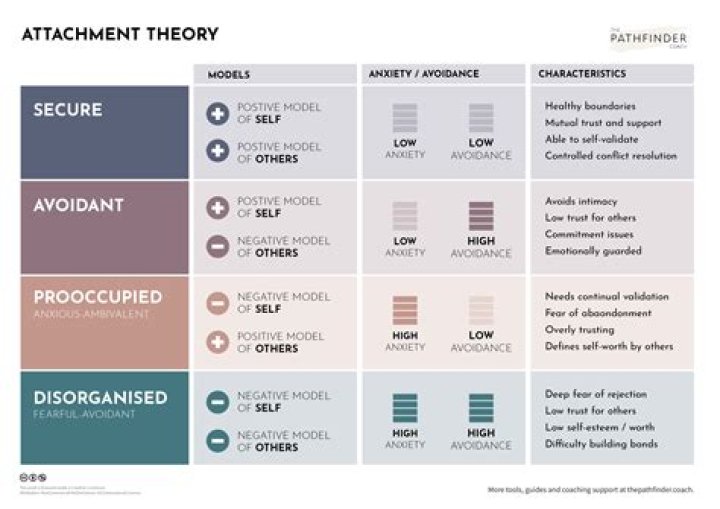 What is the attachment theory of love?