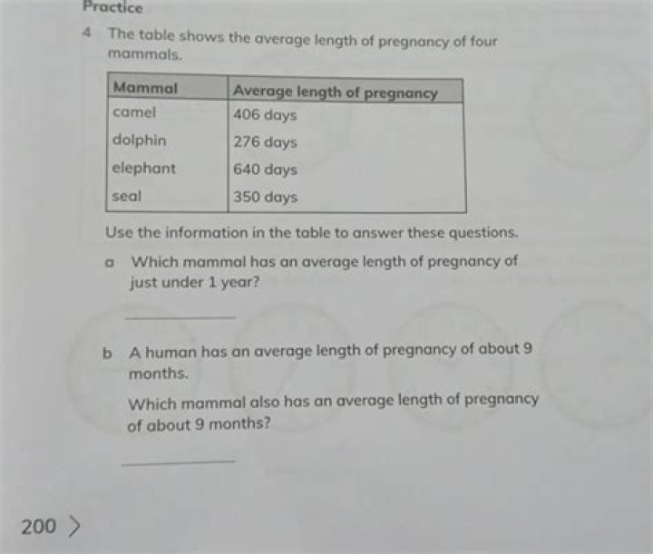 What is the average length of pregnancy for a first time mother?