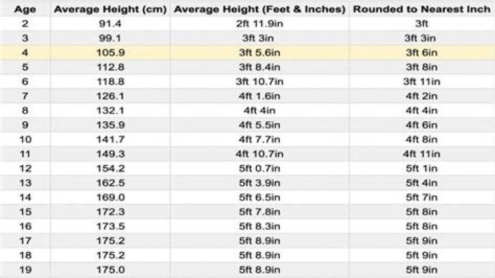 What is the average size of a sports hall?