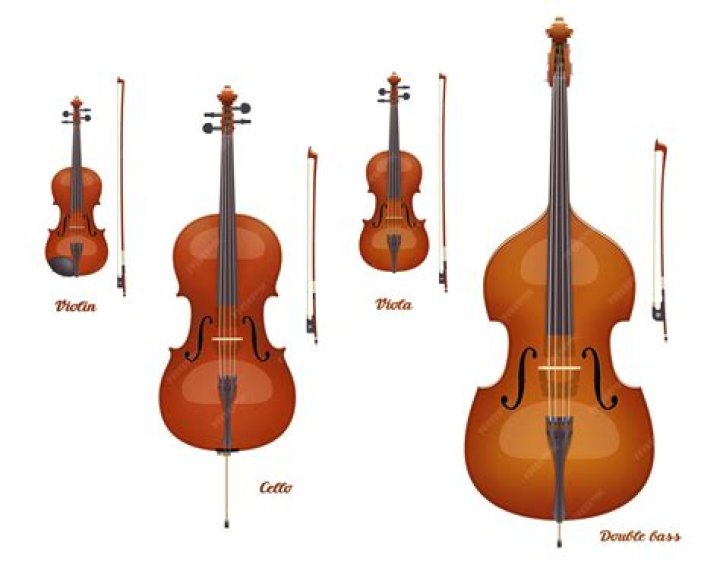 What is the bass violin called?