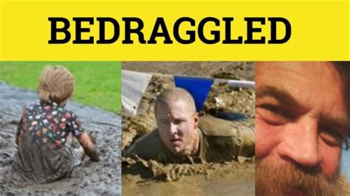 What is the bedraggled?