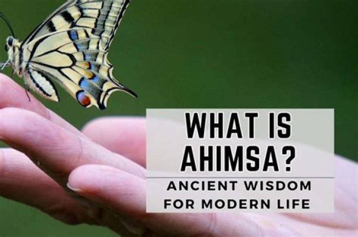 What is the belief of ahimsa for Jainism?
