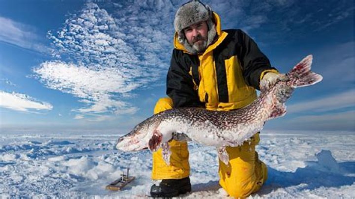 What is the best bait for pike ice fishing?