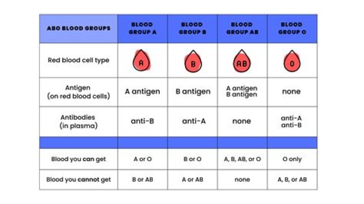 What is the best blood group for couples?