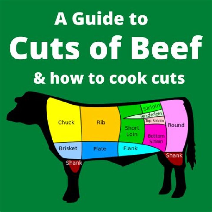 What is the best cut of meat for Ragu?