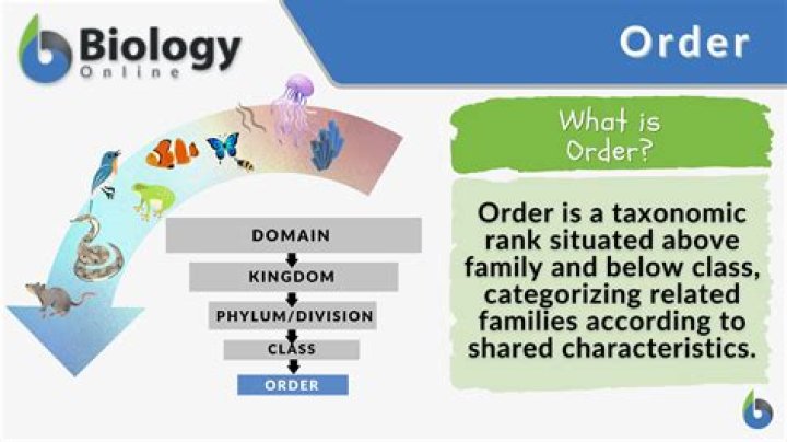What is the best definition of biology?