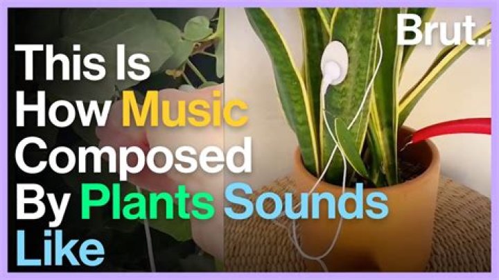 What is the best device to hear music?