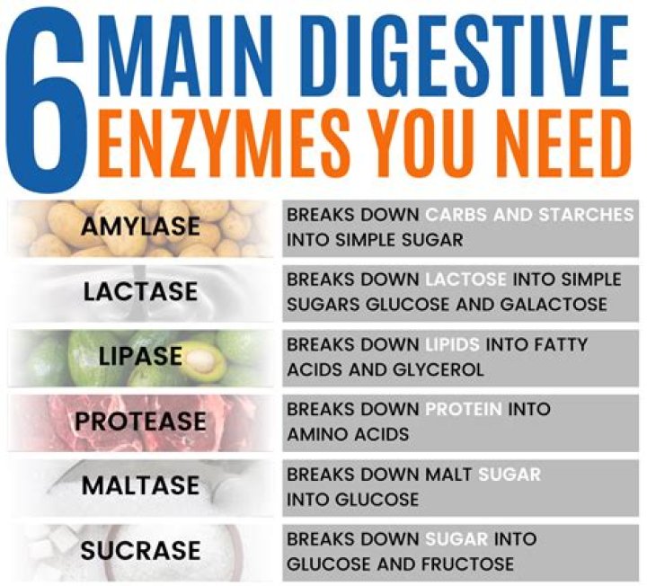 What is the best food enzyme?