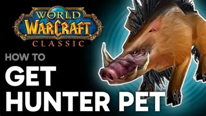 What is the best pet for Hunter in wow?