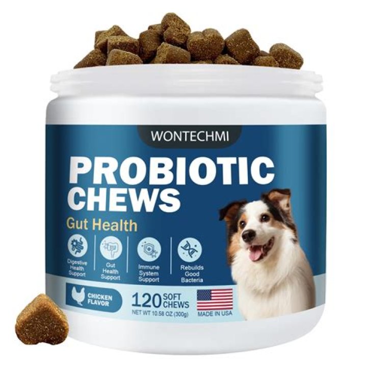 What is the best product for dogs with itchy skin?