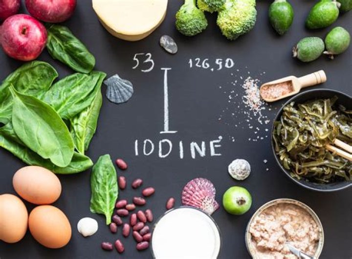 What is the best source of iodine in food?