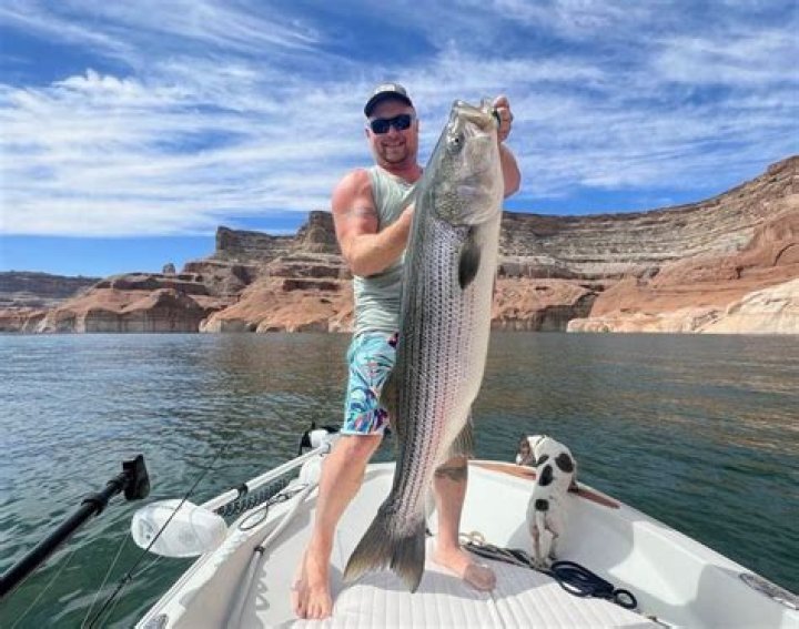 What is the best time to fish for whiting?