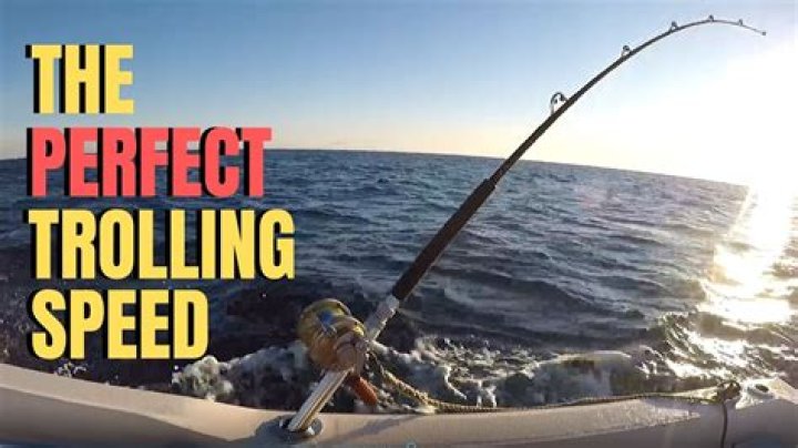 What is the best trolling speed for trout?