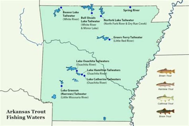 What is the best trout fishing in Arkansas?