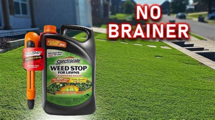 What is the best weed killer for paths and driveways?