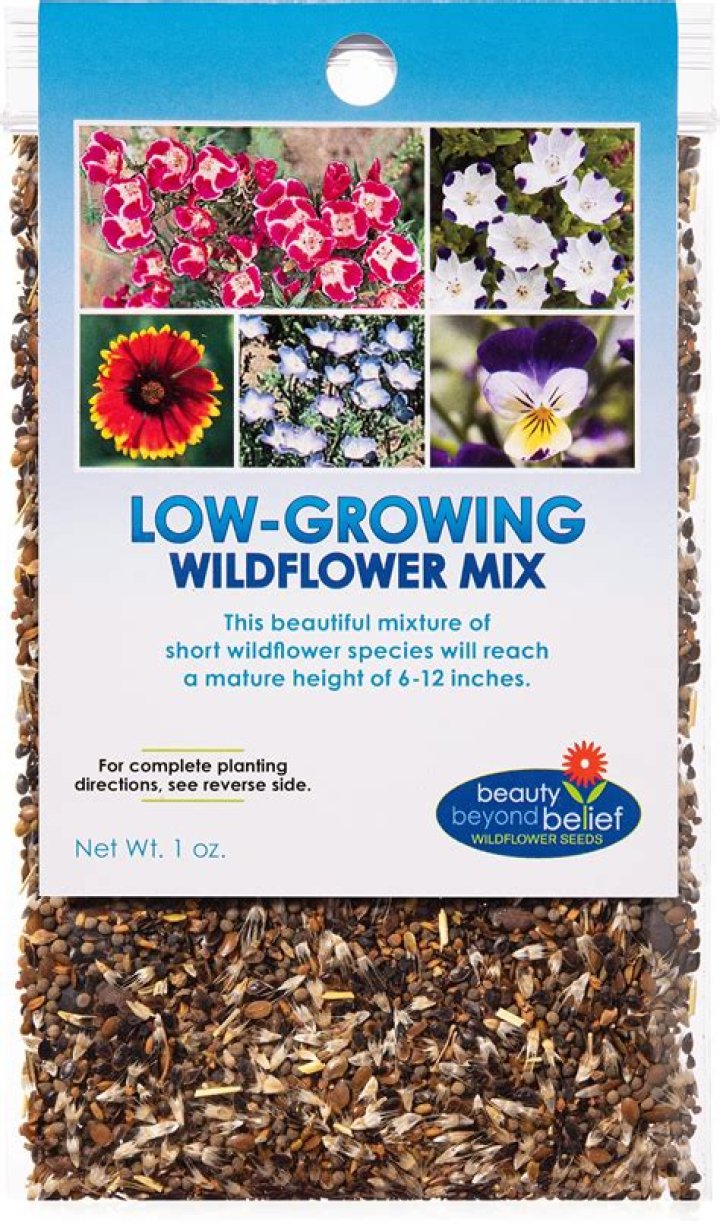 What is the best wildflower guide?