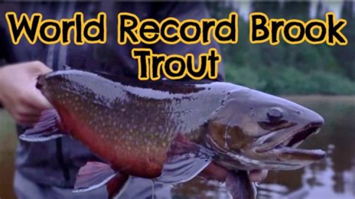 What is the biggest brook trout ever caught?