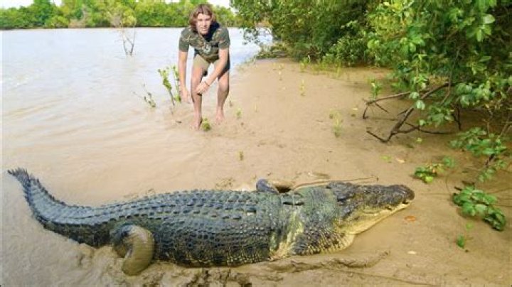 What is the biggest croc ever caught in Australia?