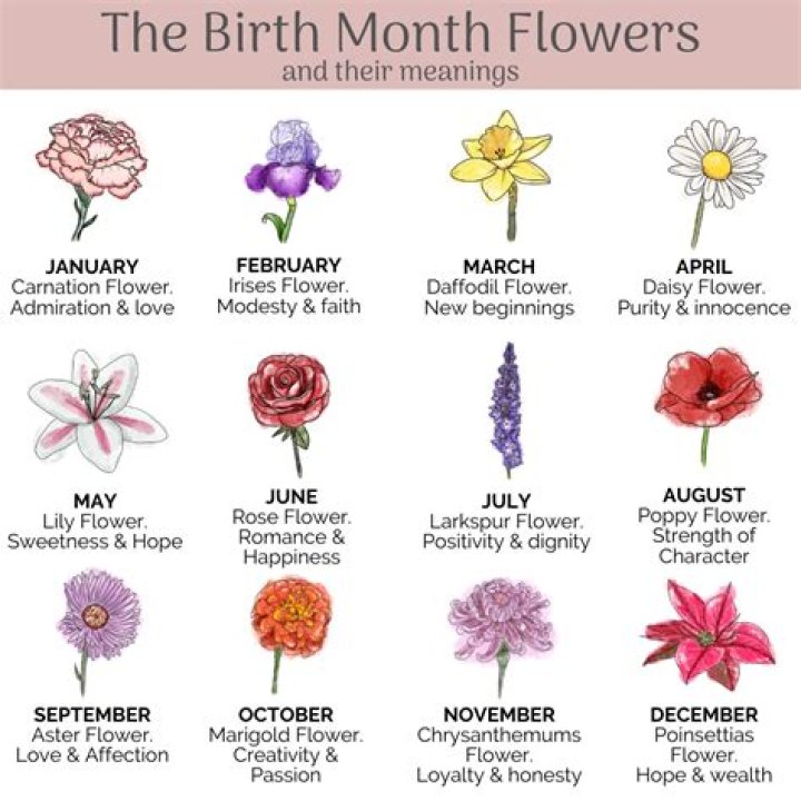 What is the birth flower for April?