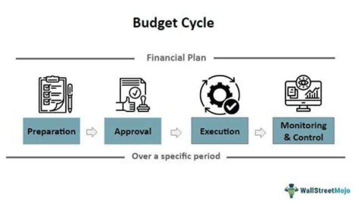 What is the budget process in healthcare?
