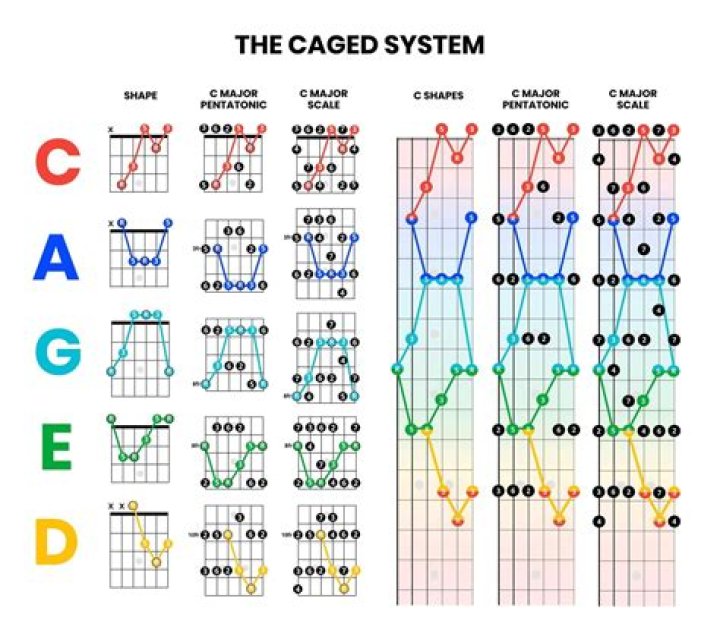 What is the caged theory?