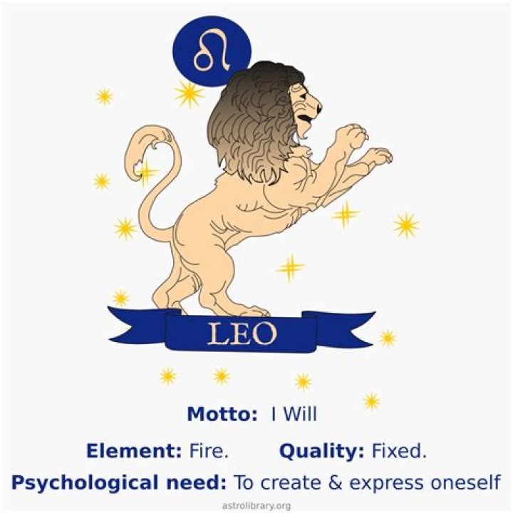 What is the Capricorn motto?