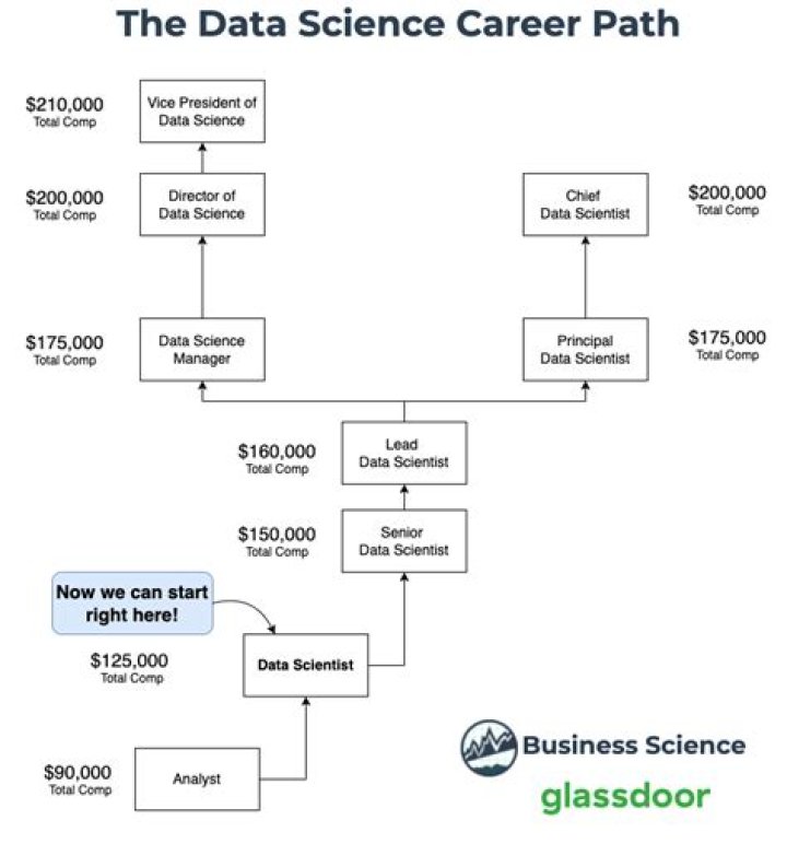 What is the career path for a data scientist?