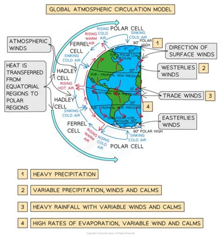 What is the circulation of the age?