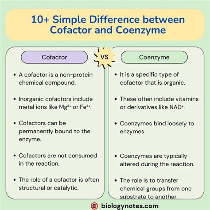 What is the cofactor of an enzyme lysyl oxidase?