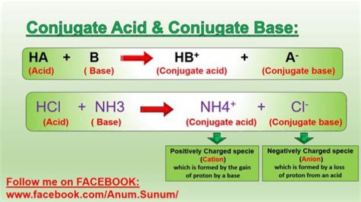 What is the conjugate acid of NH3?
