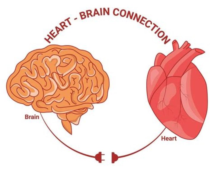 What is the connection between heart and mind?