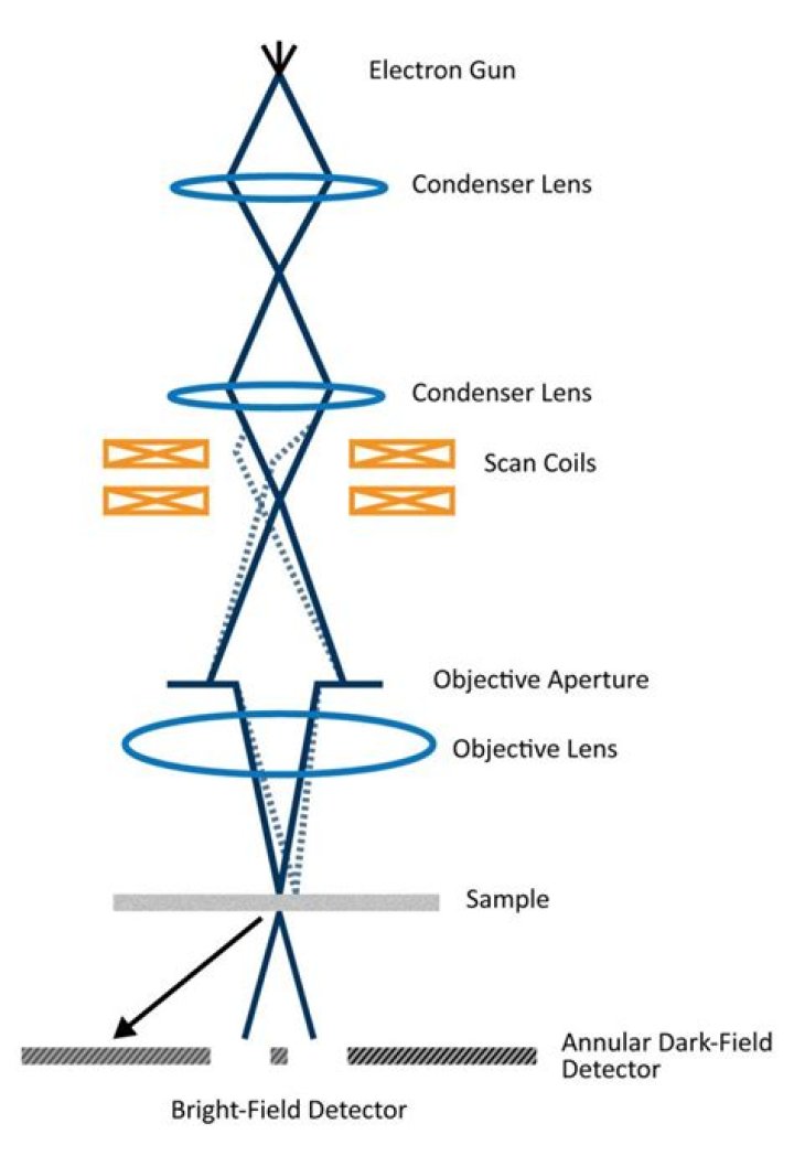 What is the contrast in electron microscopy?