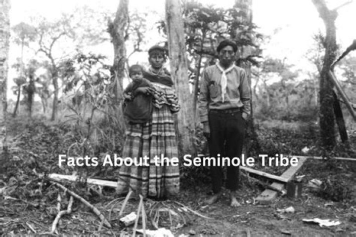 What is the culture of the Seminole Tribe?