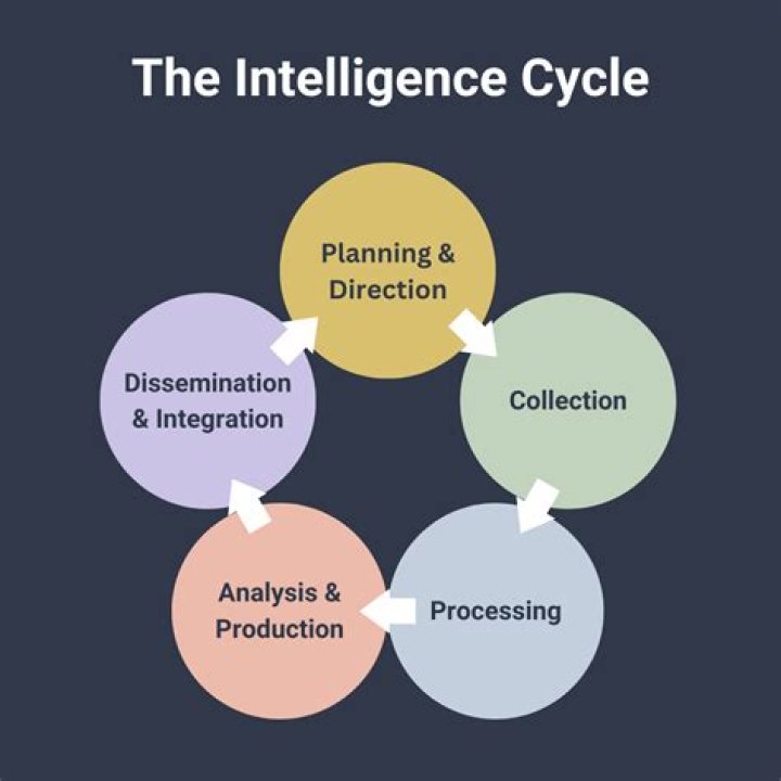 What is the cycle of a business intelligence analysis?