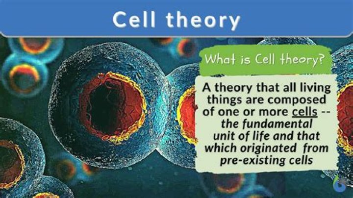 What is the dictionary definition of cell?