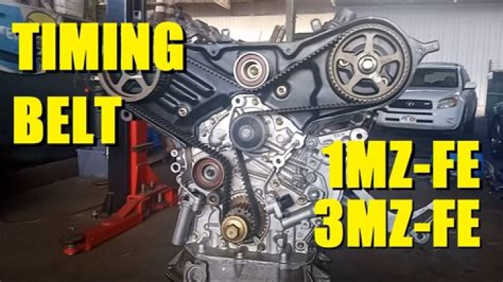What is the difference between 1MZ-Fe and 3MZ?