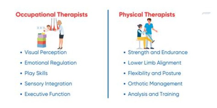 What is the difference between a physical therapist and a physiotherapist?