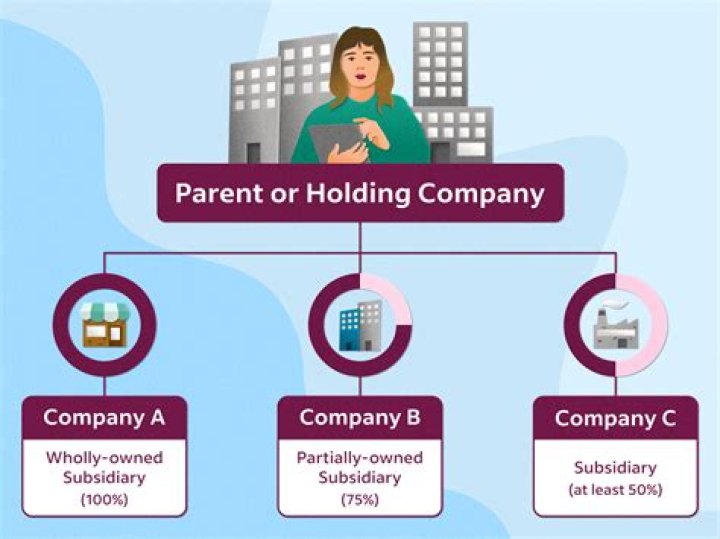 What is the difference between a subsidiary and a subsidiary undertaking?
