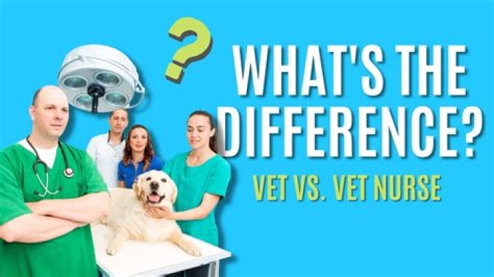 What is the difference between a vet and a vet tech?