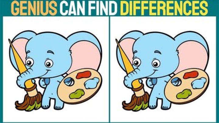 What is the difference between disegno and colore?