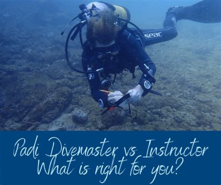 What is the difference between Divemaster and dive instructor?