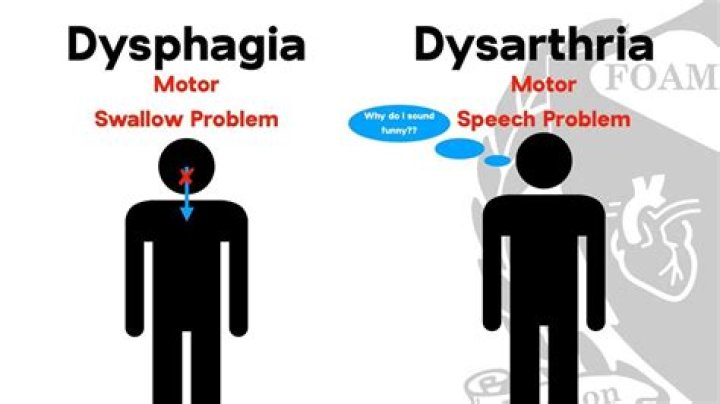 What is the difference between dysarthria and dysphagia?