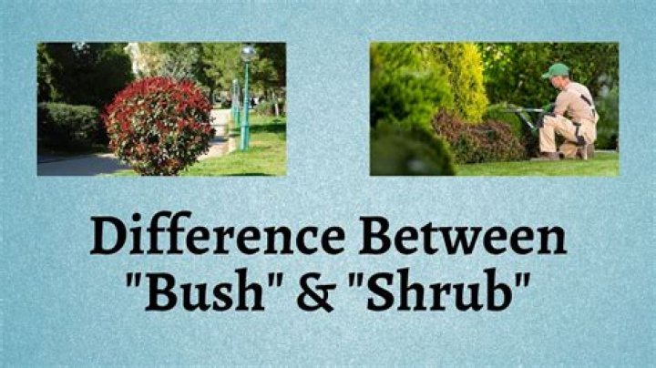 What is the difference between Hyannis and Barnstable?