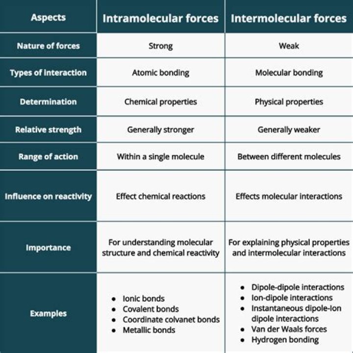 What is the difference between Inter and intramuscular coordination?