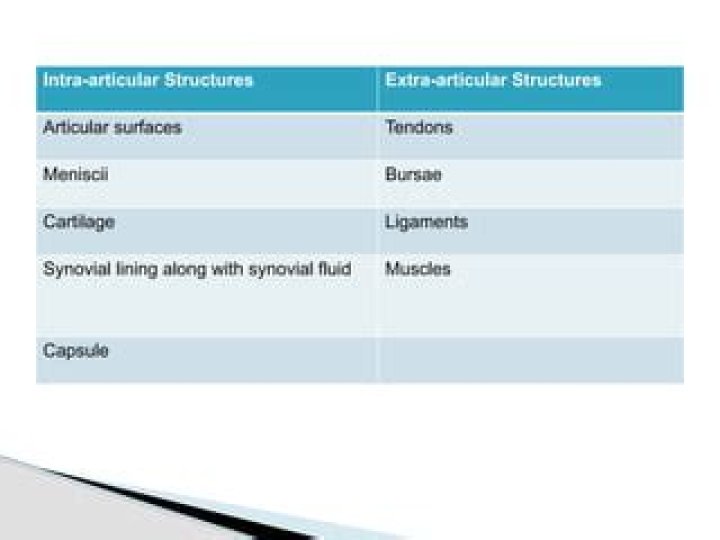 What is the difference between intra-articular and extra-articular?