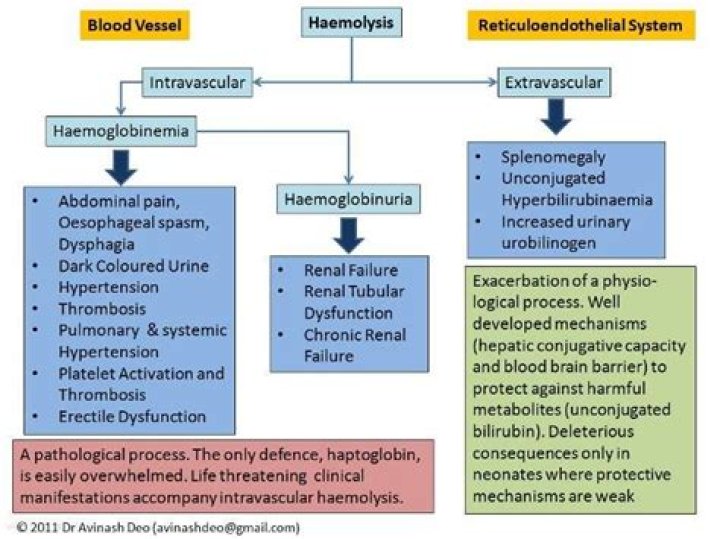 What is the difference between intravascular hemolysis and extravascular hemolysis?