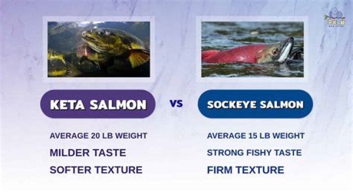 What is the difference between Keta salmon and sockeye salmon?