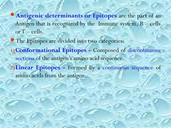 What is the difference between linear and discontinuous epitope?